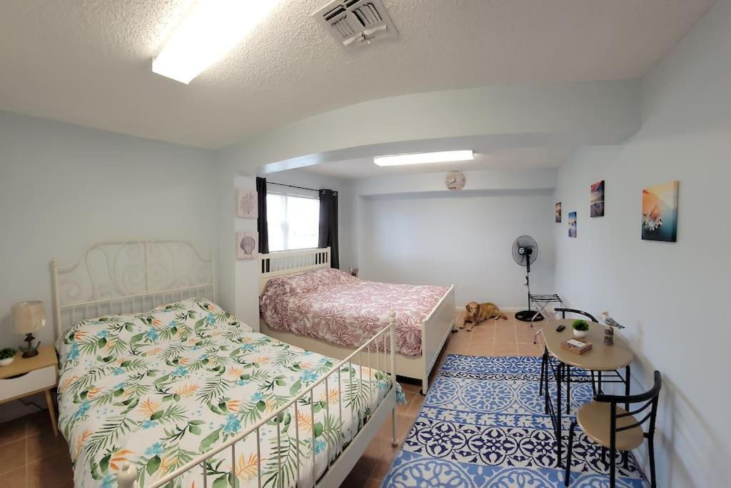 Paradise Lagoon*Bayhouse Fishing*Beach*Dogfriendly Galveston Eksteriør billede